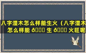 八字湿木怎么样能生火（八字湿木怎么样能 🐒 生 🐈 火旺呢）